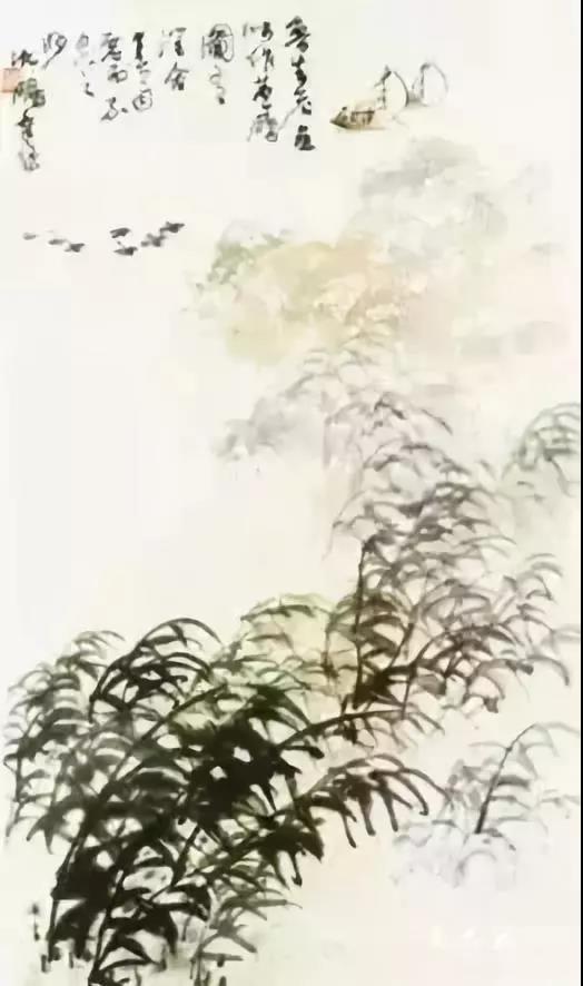 ͼƬ