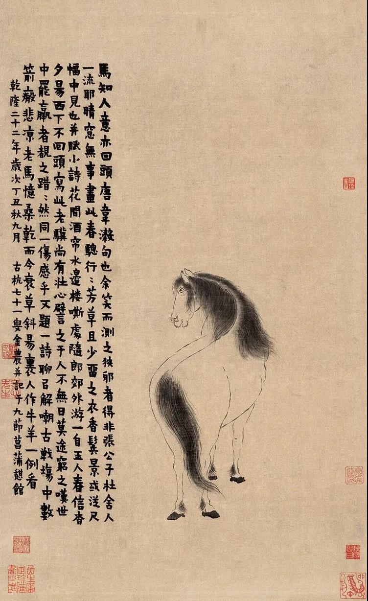 ͼƬ