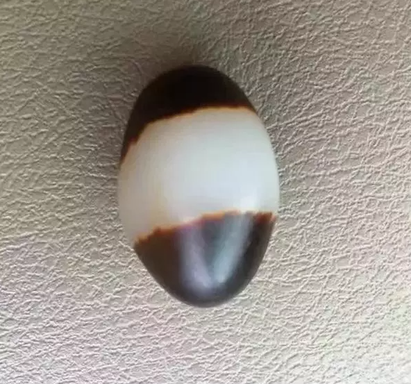 ͼƬ