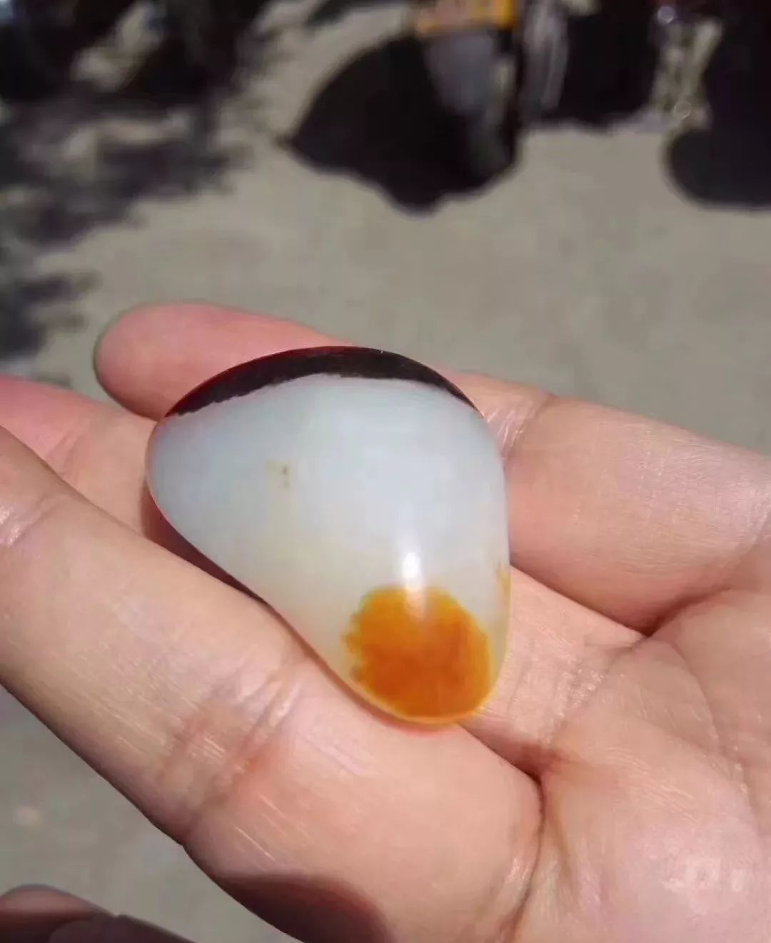 ͼƬ