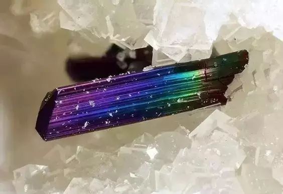 ͼƬ