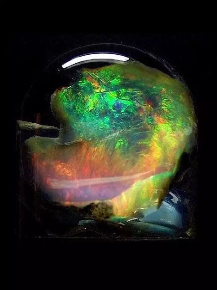 ͼƬ